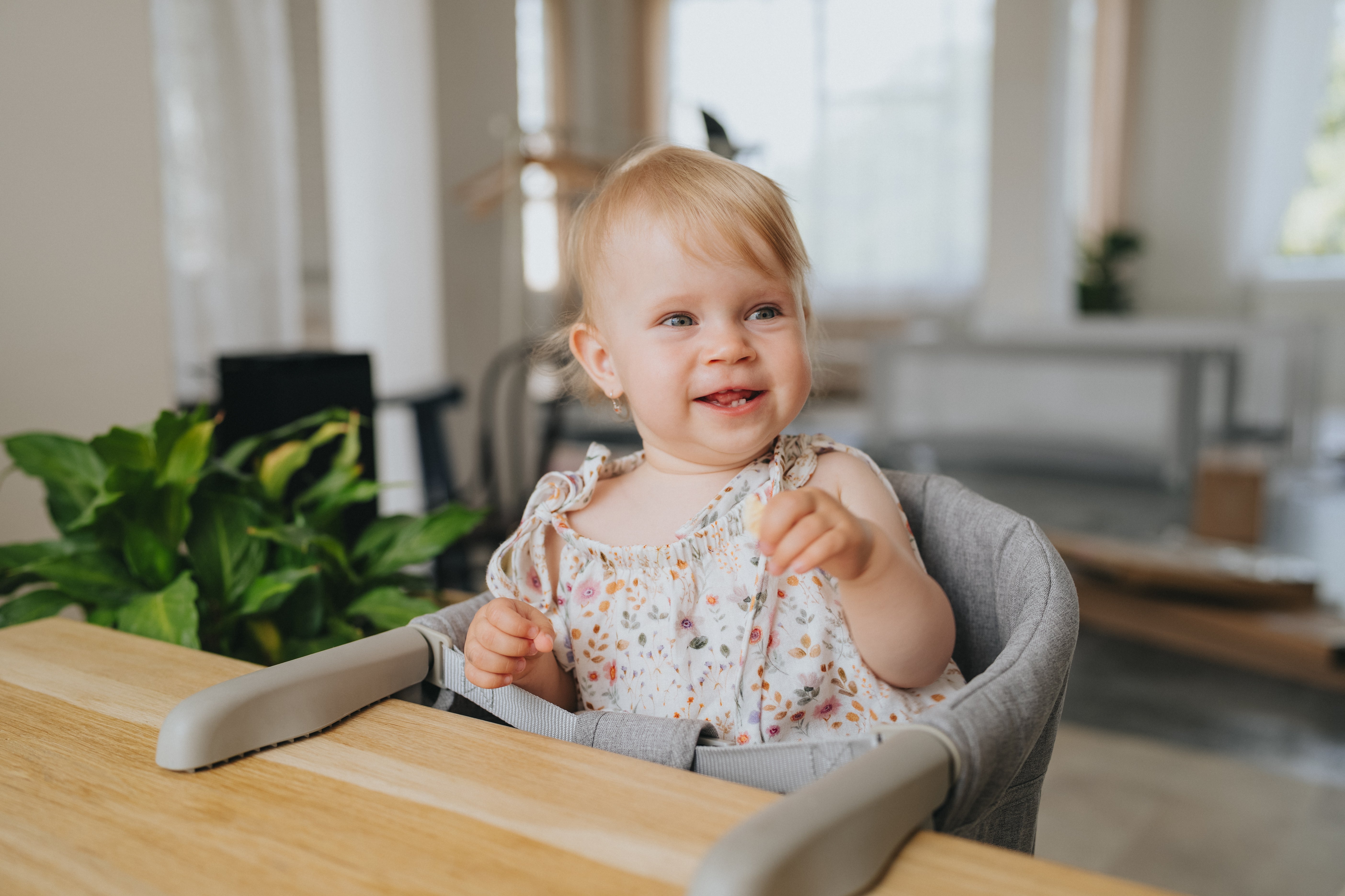 Potovalni jedilni stolček Monkey Mum® - siv - razpakiran